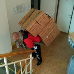 Probíhající stěhování bytu se stěhováky snášející vybavení bytu ze schodů.